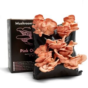 Mushroom Growing Kit - Pink Oyster - Gift Option
