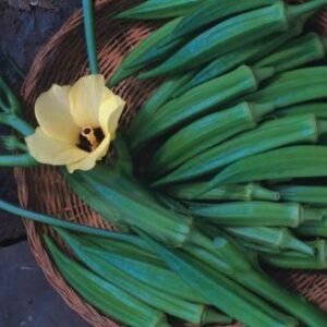 Okra Pure Luck F1 Hybrid Seeds