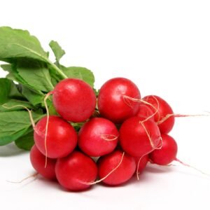 Organic Radish Early Scarlet Globe Seeds