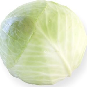 Organic White Cabbage Kalorama RZ F1 Hybrid Seeds