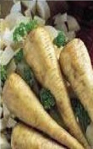 Parsnip Half Long Guernsey Seeds