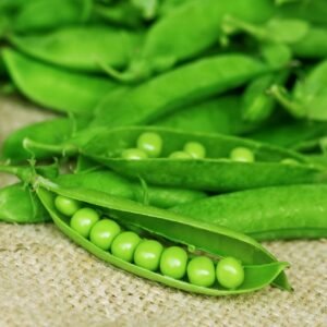 Pea Lincoln Seeds
