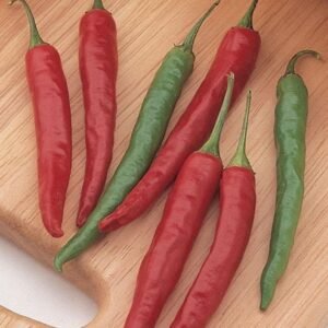 Pepper (Chilli) Chiang Rai Seeds
