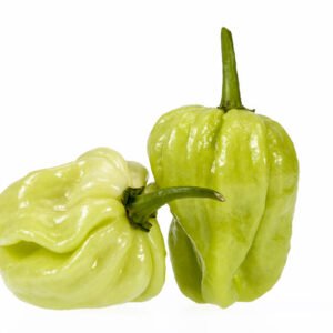 Pepper (Chilli) Habanero White Seeds