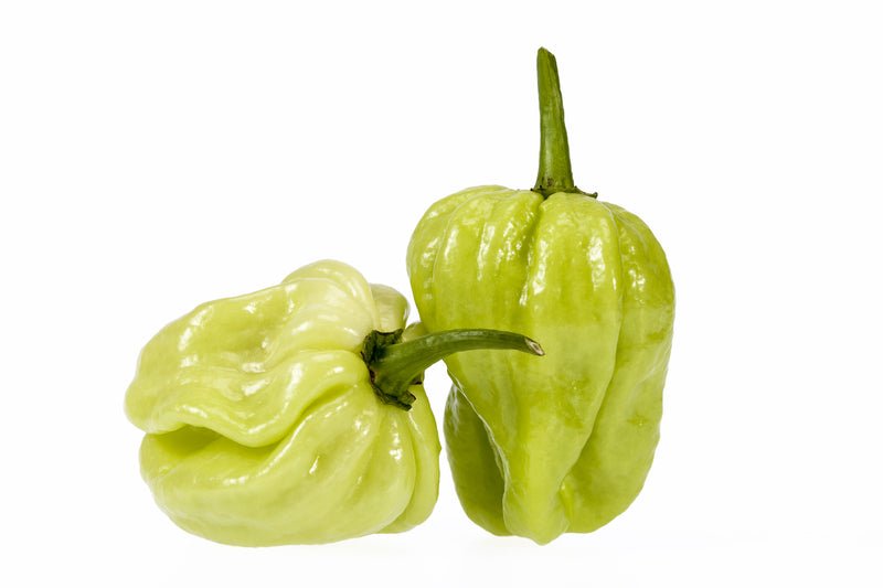 Pepper (Chilli) Habanero White Seeds