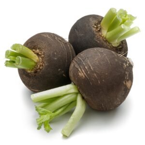 Radish Black Spanish Round Seeds