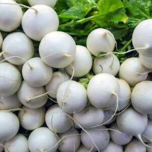 Radish Hailstone Seeds