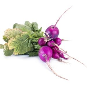 Radish Malaga Violet Seeds
