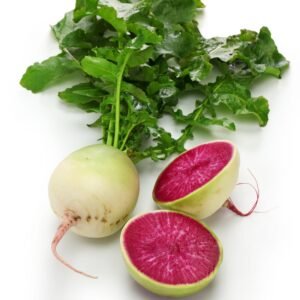 Radish Red Meat Seeds
