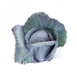 Red Cabbage Redma RZ F1 Hybrid Untreated Seeds