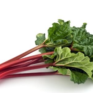 Rhubarb Glaskins Perpetual Seeds