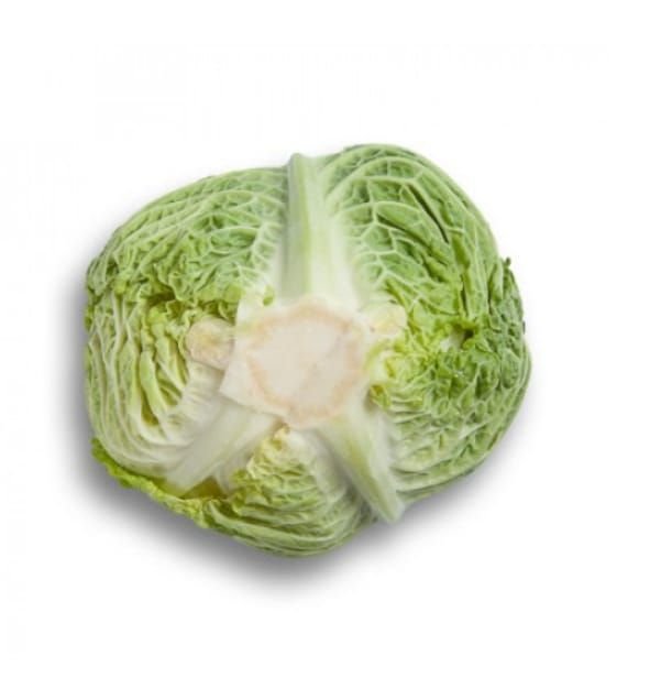 Savoy Cabbage Madlene RZ F1 Hybrid (29 -417) Untreated Seeds