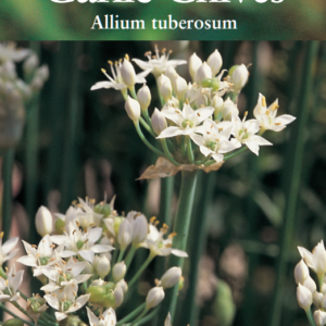 Suffolk Herbs Garlic Chives 125 Seeds