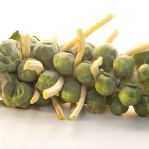 Suffolk Herbs Organic Brussels Sprout Groninger 100 Seeds