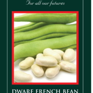 Suffolk Herbs Organic Dwarf French Bean Cannellino 100 Seed
