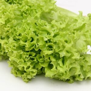 Suffolk Herbs Organic Lettuce Salad Bowl 450 Seeds