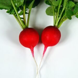 Suffolk Herbs Organic Radish Saxa 500 Seeds