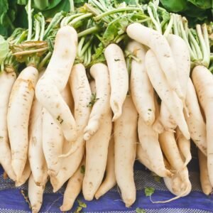 Suffolk Herbs Radish White Icicle 1000 Seeds