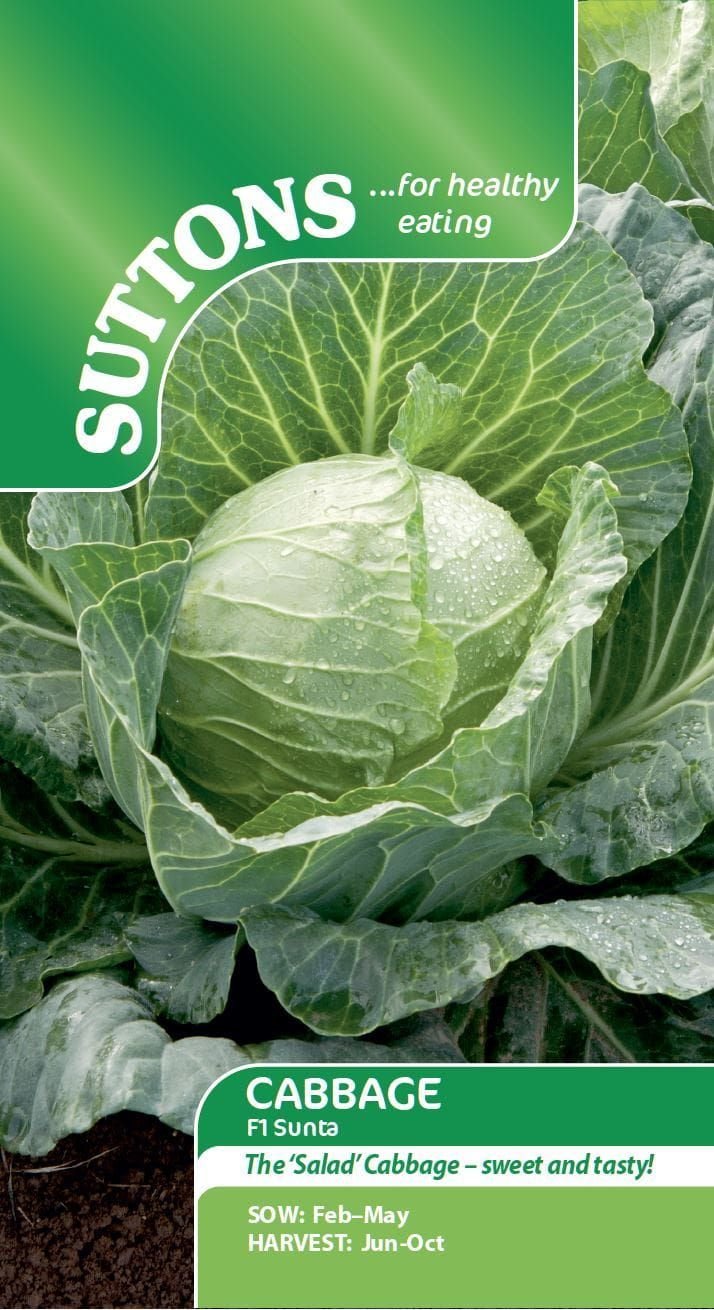 Sutton Seeds - Cabbage Seeds F1 Sunta