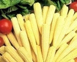 Sweetcorn Minipop F1 Hybrid Seeds