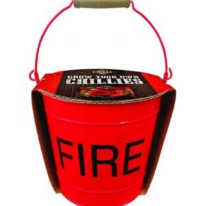 Taylors Chilli Grow your own Chilli Red Demon Chilli Seeds Metal Planter