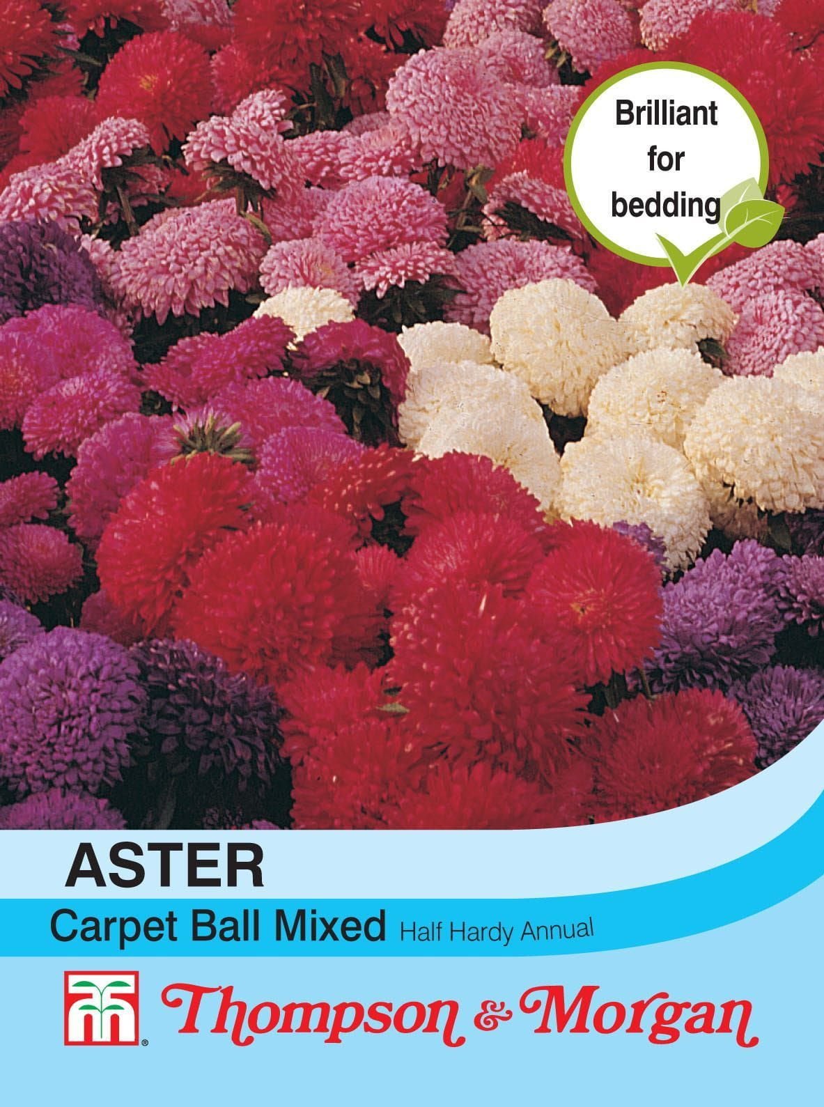 Thompson & Morgan Aster Carpet Ball Mixed 185 Seed
