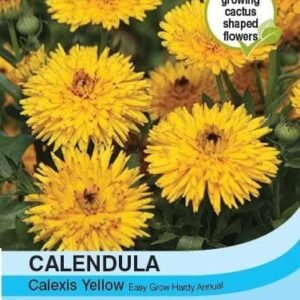 Thompson & Morgan Calendula Calexis Yellow 50 seed