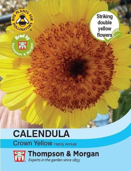 Thompson & Morgan Calendula Crown Yellow 100 seed