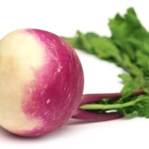 Turnip Veitches Red Globe Seeds