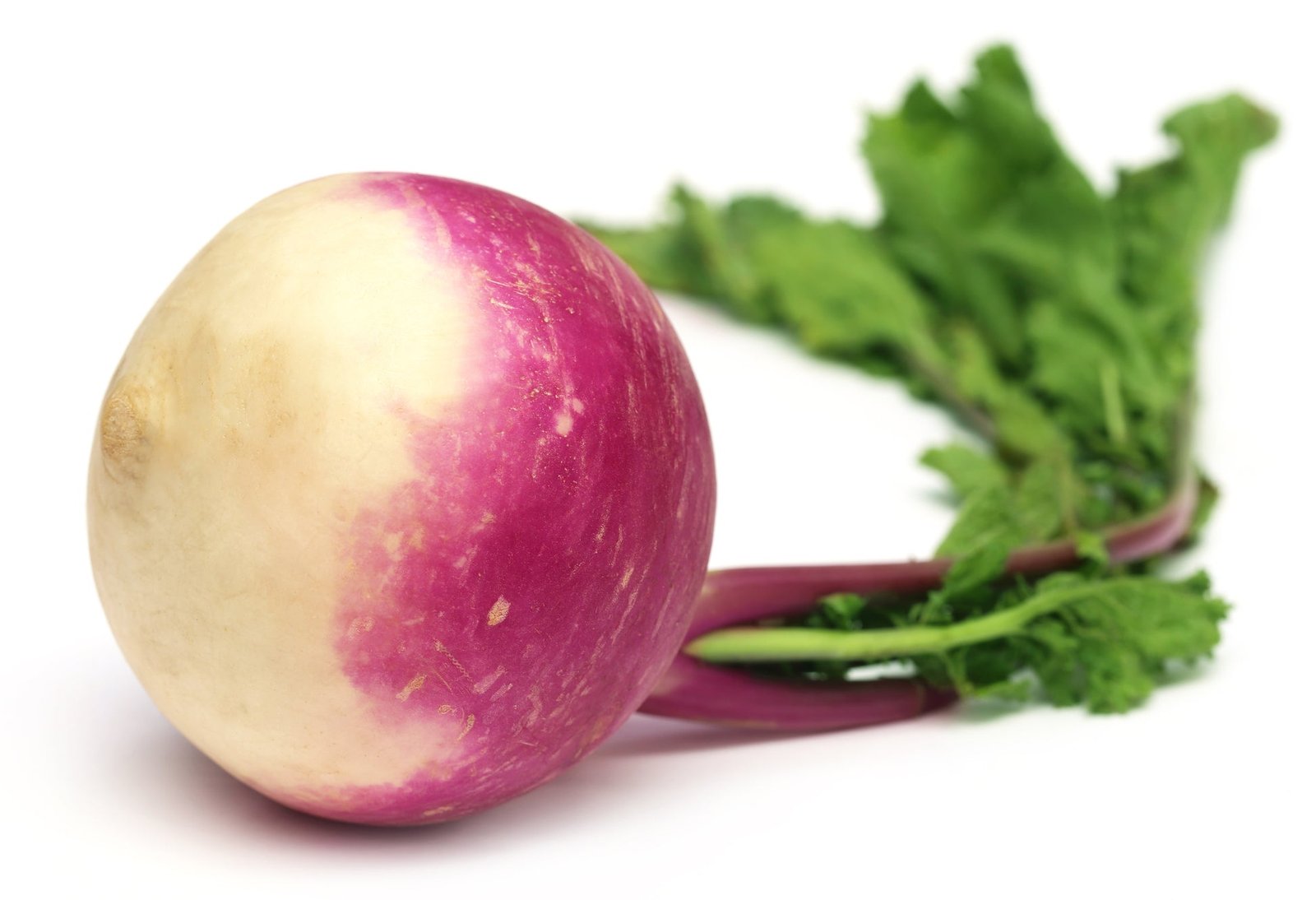 Turnip Veitches Red Globe Seeds