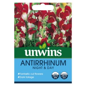 Unwins Antirrhinum Night & Day 500 Seeds