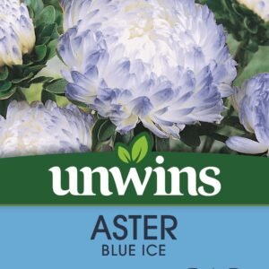 Unwins Aster Blue Ice 200 Seeds
