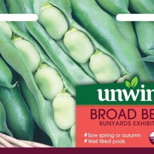 Unwins Broad Bean Bunyards Exhibition 40 Seeds