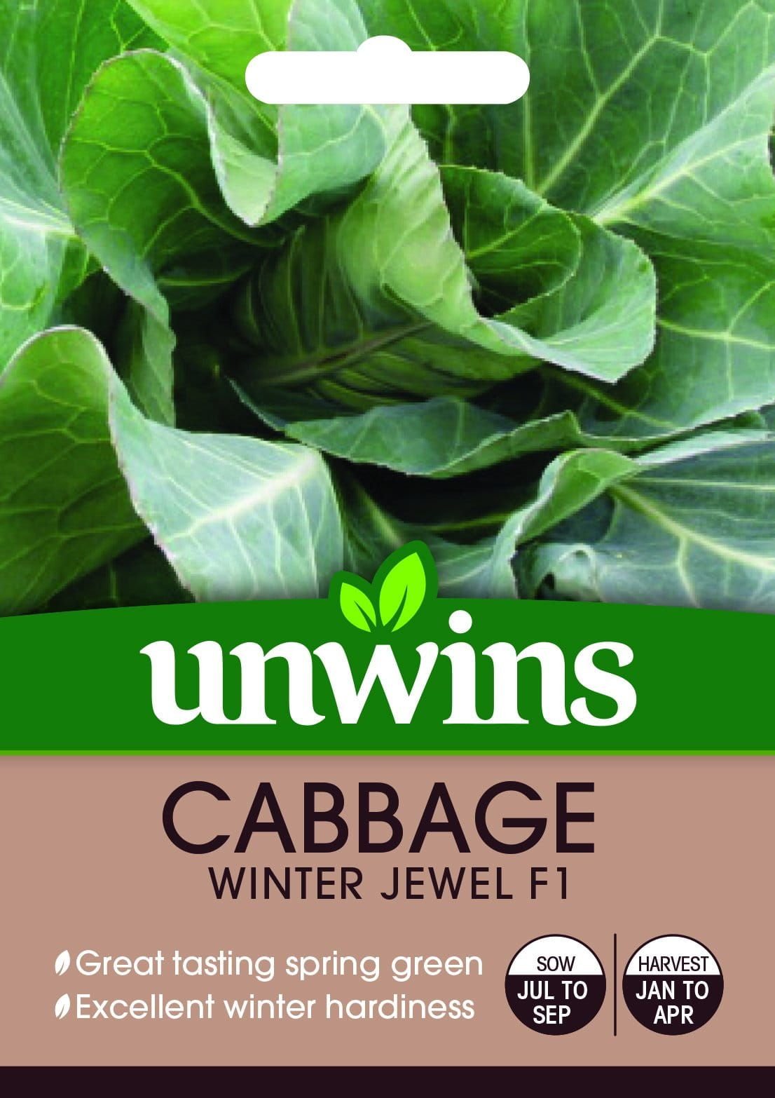 Unwins Cabbage Winter Jewel 40 Seeds
