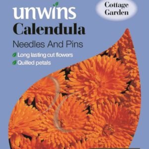 Unwins Calendula Needles And Pins 200 Seeds