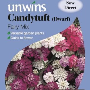 Unwins Candytuft Dwarf Fairy Mix 500 Seeds