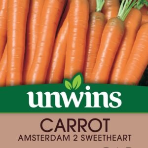 Unwins Carrot Amsterdam 2 Sweetheart -1200 Seeds