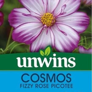 Unwins Cosmos Fizzy Rose Picotee 100 Seeds