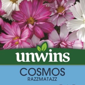 Unwins Cosmos Razzmatazz 30 Seeds