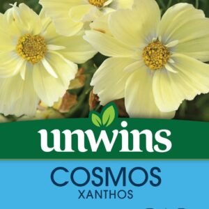 Unwins Cosmos Xanthos Lemon Sherbet 20 Seeds