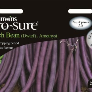 Unwins French Bean (Dwarf) Amethyst 50 Seeds