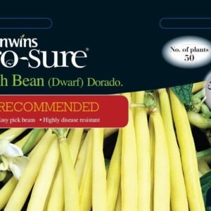 Unwins French Bean (Dwarf) Dorado 120 Seeds