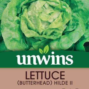 Unwins Lettuce (Butterhead) Hilde II 1300 Seeds