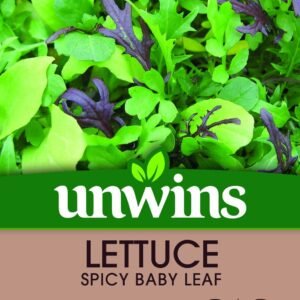 Unwins Lettuce Spicy Baby Leaf 500 Seeds