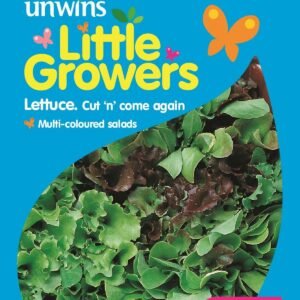 Unwins Little Growers Lettuce Cut 'n' Come Again 500 Seeds