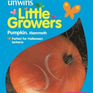 Unwins Little Growers Pumpkin Mammoth 18 Seeds