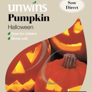 Unwins Pumpkin Halloween 8 Seeds