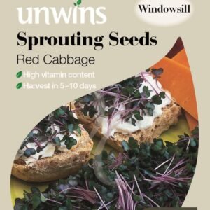 Unwins Sprouting Seeds Red Cabbage 3000 Seeds