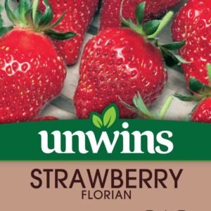 Unwins Strawberry Florian 10 Seeds