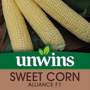 Unwins Sweet Corn Alliance F1 40 Seeds
